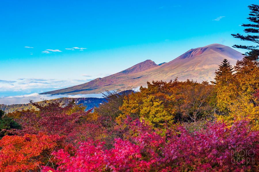 碓冰峠見晴台